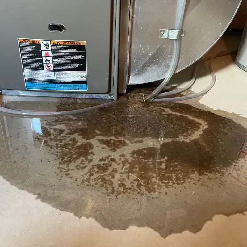 Appliance Leak Cleanup in Pierce City, MO